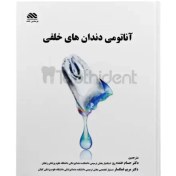 تصویر آناتومی دندان های خلفی 