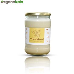 تصویر عسل شیر طبیعی شرکت پرنده | 900 گرمی 