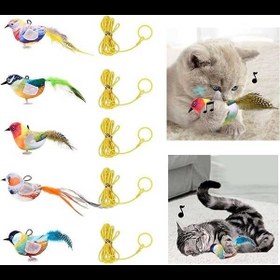 تصویر اسباب بازی پرنده موزیکال برای گربه 