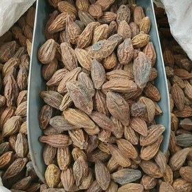 تصویر هلیله کابلی (100گرمی ) 