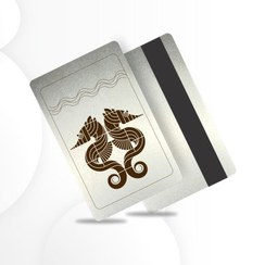 تصویر اسب دریایی 