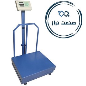 تصویر باسکول 300 کیلویی ارین 