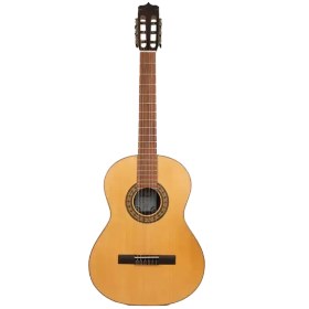 تصویر گیتار پارسی مدل K120F 