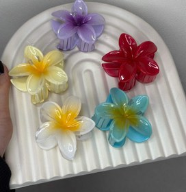 تصویر کلیپس مو پلومریا طرح گل 