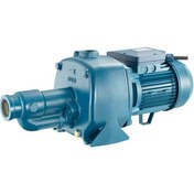 تصویر پمپ آب پنتاکس Pentax مدل CAB200/00 دو پروانه لول بلند 