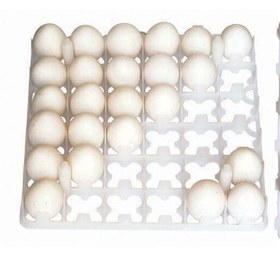 تصویر شانه تخم مرغ دستگاه جوجه کشی 36 تایی 
