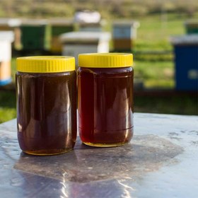 تصویر عسل کنار - 650 گرم 