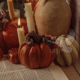 تصویر کدو تنبل 