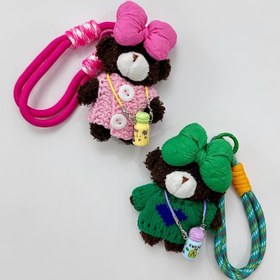 تصویر چارم بگ 