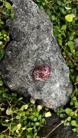 تصویر نگین سنگ عقیق ( آگات ) 