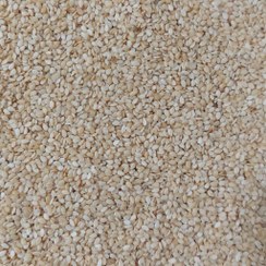 تصویر کنجد ۱ کیلوگرم 