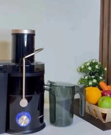 تصویر آبمیوه گیری مباشی مدل ME-JC3006 Mebashi juicer model ME-JC3006