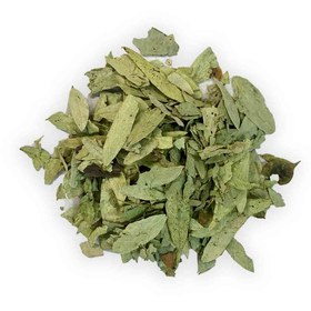 تصویر برگ سنا 