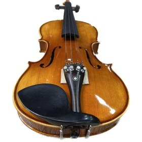تصویر ویولن سندنر مدل SV1 