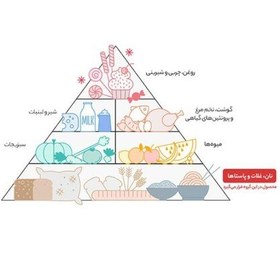 تصویر نودل الیت با طعم گوشت پک 4 عددی با ارسال رایگان 