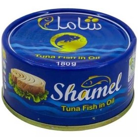 تصویر شامل تن ماهی 180گ 