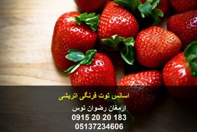 تصویر اسانس توت فرنگی اتریشی 