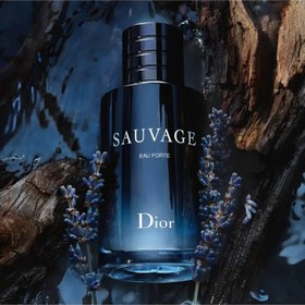 تصویر اکسترا پرفیوم دیور ساواج - 100 میل Dior Sauvage