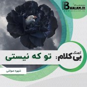 تصویر آهنگ بی کلام تو که نیستی دل من مثل گلای پرپره از شهره صولتی 