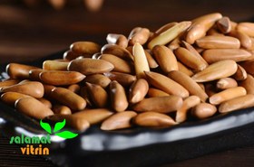 تصویر چلغوزه 