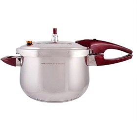 تصویر زودپز گلدار نیولند NEWLAND NL-2905RD 8L 