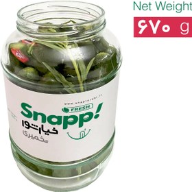 تصویر خیارشور تخمیری ( 650 گرم ) KHIARSHOOR TAKHMIRI (PROBIOTIC)