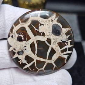 تصویر نگین کلکسیونی سنگ طبیعی سپتارین معدنی مراکش کد 34524 