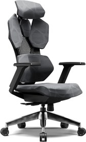 تصویر Astron Gaming Chair - Premium Ergonomic Gaming Chair with Multi-Functional Mechanism Headphone Hanger Carbon Fiber Textured Frame and Adaptive Shoulder amp Lumber Support (Chrome) - ارسال 15 الی 20 روز کاری 