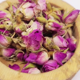 تصویر گل غنچه محمدی 