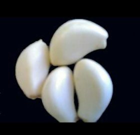 تصویر پوستکن سیر بادی صنعتی GARLIC PEELER