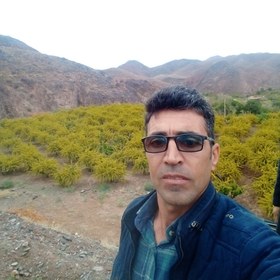 تصویر عسل بهاره خوش‌طعم 