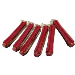 تصویر بیگودی استخوانی ۱۰ عددی 