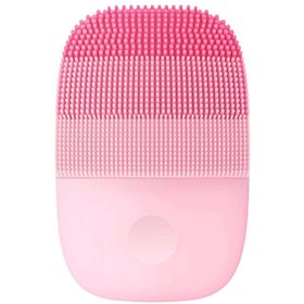 تصویر برس پاکسازی مدل MS2000 