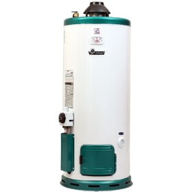 تصویر آبگرمکن دیواری ایران شرق مدل نرگس 