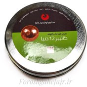 تصویر تک گلوله گرد 