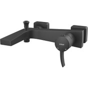 تصویر شیر حمام فیورنزو کسری 