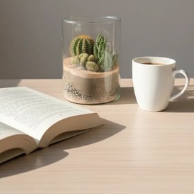 تصویر تراریوم کاکتوس | کد: ZNB-GRX 