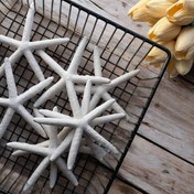 تصویر ستاره دریایی - سفید 