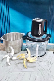 تصویر خردکن بریستول 