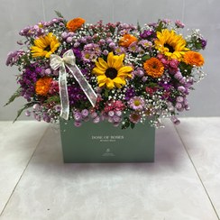 تصویر فشن باکس مستطیل 