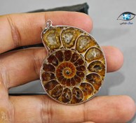 تصویر فسیل امونیت زیبا 26 گرم 