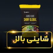 تصویر شاینی گلوبال shiny global