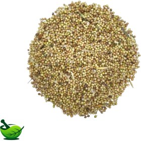 تصویر تخم گشنیز توپی 