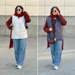 تصویر پافر طوسی حانی گلی 