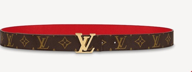 Louis Vuitton Daily Multi Pocket 30mm Belt M0236Y Brown - lushenticbags