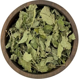 تصویر بادرنجبویه 