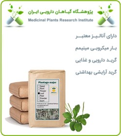 تصویر برگ بارهنگ خشک فله 