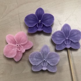 تصویر شمع ارکیده 