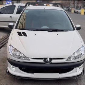 تصویر ریش سپر 207 