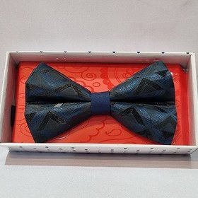 تصویر پاپیون طرح دار P10 